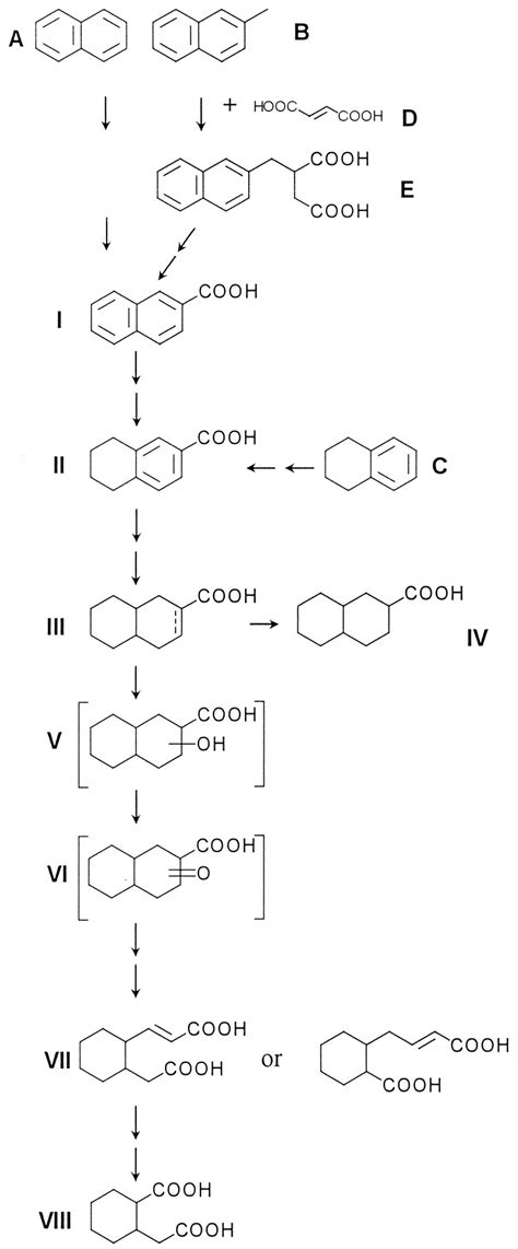 Identical Ring Cleavage Products During Anaerobic Degradation Of