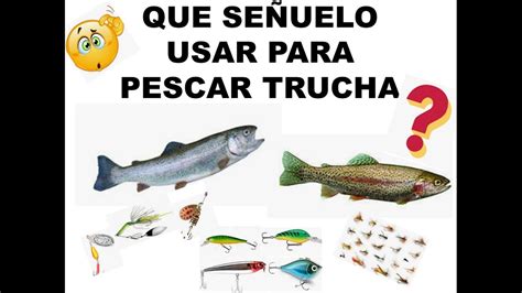 los mejores señuelos para pescar truchas con que carnada se pesca