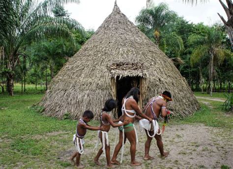 Choza Indigena Banco De Fotos E Imágenes De Stock Istock