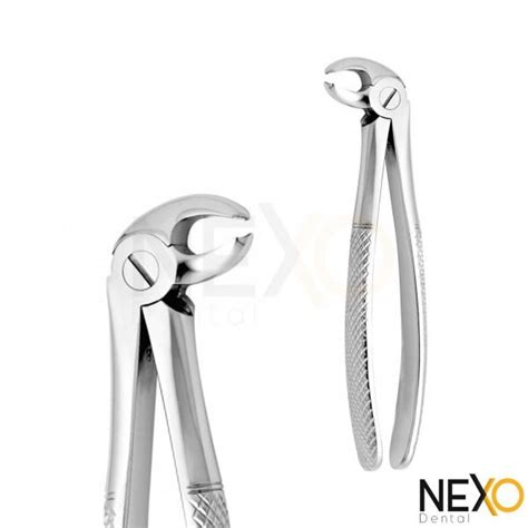 FORCEP PICO DE LORO Nexo Dental