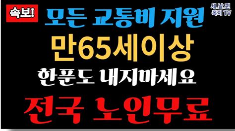 65세이상 전국 노인 교통비 무료지원 노인무임승차제도 Youtube