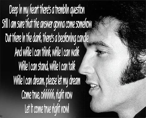 Elvis Presley Song Quotes. QuotesGram