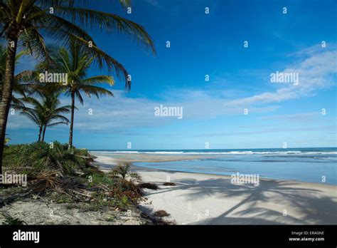 coastline of ilheus, bahia, brazil Stock Photo - Alamy