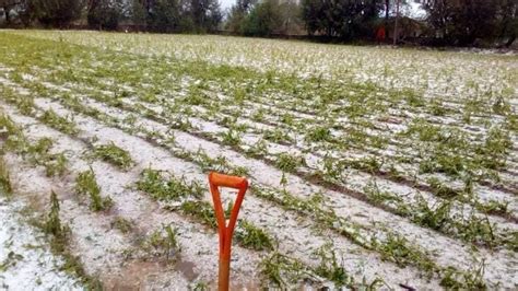 Sequía Granizadas Inundaciones E Incendios Afectan A 202 243