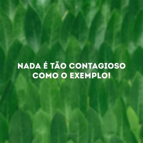 100 Melhores Frases Curtas Para O Facebook