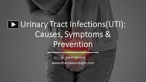 Ppt Urinary Tract Infection Uti Powerpoint Presentation Free To