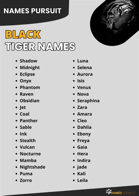 450+ Cool, Cute, & Funny Black Tiger Names