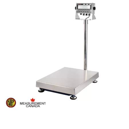 Find The Best Bench Scale To Suit Your Needs