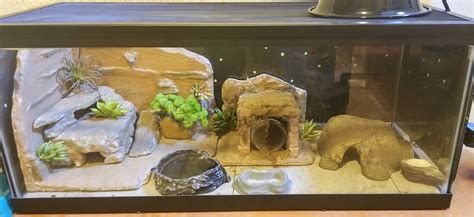 New to geckos but this is my DIY leopard gecko habitat I just completed ...