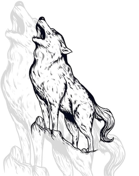 Premium Vector Wolf Vector Illustration