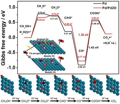 The Gibbs Free Energy Profiles Of MOR Pathways On Pd Pd2O For Pd