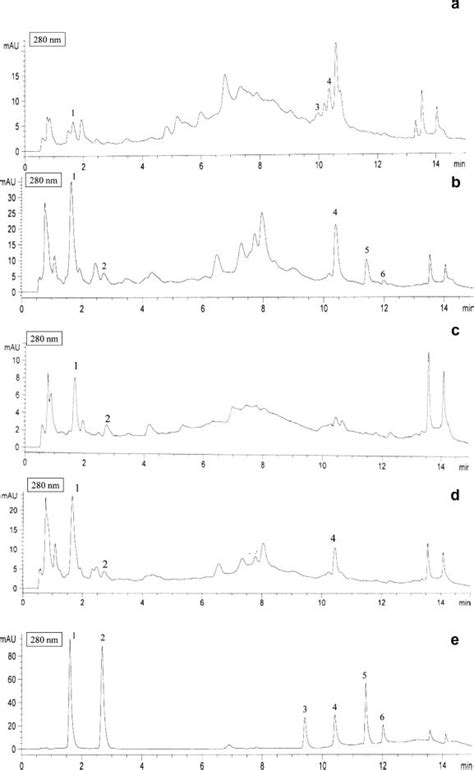 Uhplc Chromatograms Of Freeze Dried B Racemosa Shoot Extracts A