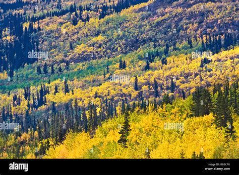 Yukon Territories, Canada Stock Photo - Alamy