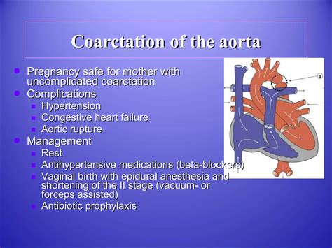 Cardiac Disease In Pregnancy Ppt