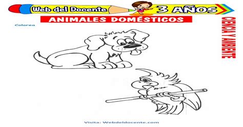 Animales Domésticos para Niños de 3 Años Animales domésticos y