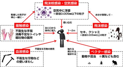 感染経路について