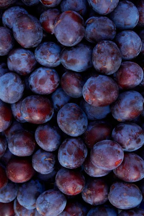 Top 17 Purple Fruits and Vegetables That You Can't Miss Out! » Joyful ...