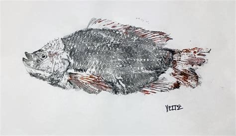 Gyotaku Fish Rub Japanese Fish Prints Veltz Fine Art