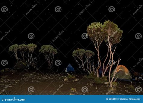 Camp tent night stock photo. Image of kilimanjaro, africa - 505050