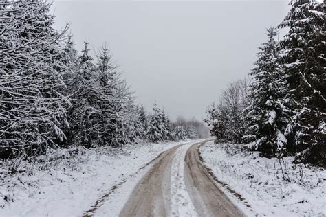 Snow Covered Road Between Trees · Free Stock Photo