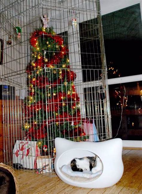 Cómo hacer que los gatos no rompan el árbol de Navidad