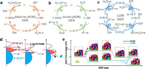 Ac Schematic Illustration Of The OER Mechanisms Namely AEM