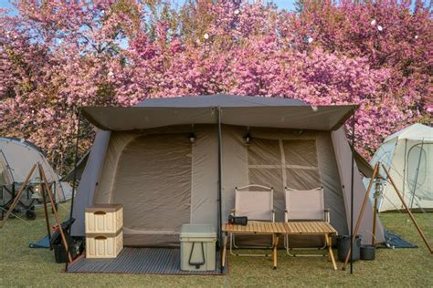 Tienda de campaña en el campamento por la noche con árbol de flores de