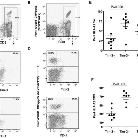 Tim Expression On T Cells In Htlv Infection Graphs Show The