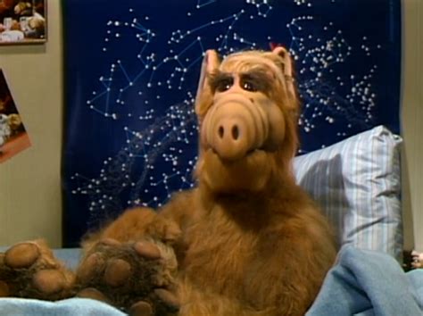 Alf Reviews Help Me Rhonda Season 1 Episode 7 Noiseless Chatter