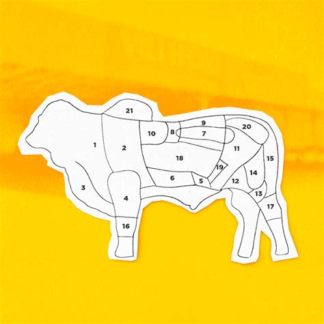 Aprenda A Identificar Os Cortes De Carne Bovina Villefort