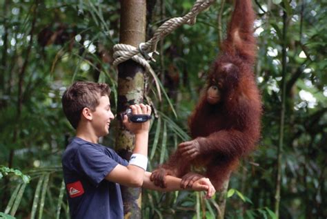 Day Batang Ai Volunteer Programme With The Orang Utans Sarawak