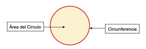 Fosfolípidos - ¿Qué son?, características, función, estructura y más