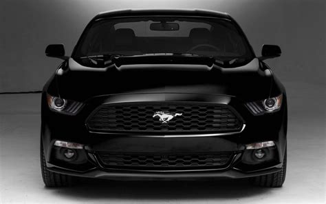 Black Mustang Wallpapers - Top Free Black Mustang Backgrounds ...