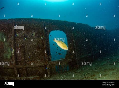 Scuba Divers Exploring A Shipwreck Underwater Stock Photo Alamy