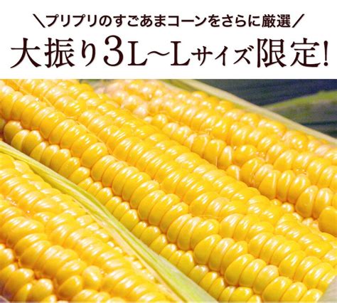 【楽天市場】すごあまこーん 卯野農場 とうもろこし 日本最速級出荷 スイートコーン ゴールドラッシュ サニーショコラ 《7月下旬～8月上旬頃