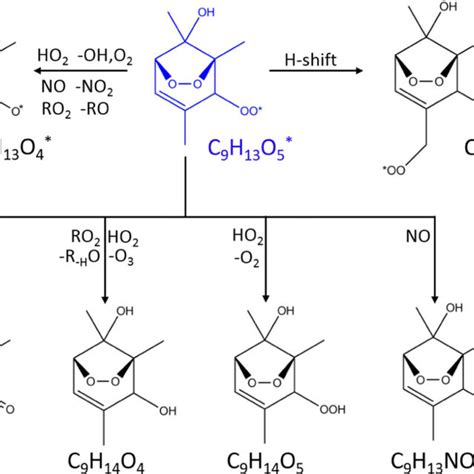 Oxidation Pathways Of Bicyclic Peroxy Radicals In The Oh Initiated