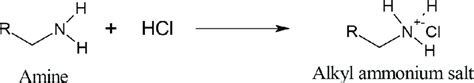 General chemical reaction of preparation of ammonium salts. | Download ...