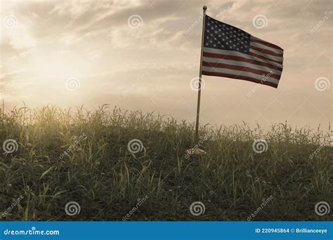 3d Rendering Of Small Waving American Flag Standing On Peaceful Flower Meadow To Remember To