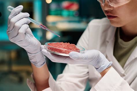 Carne Coltivata Luniversit Di Torino Lancia La Sfida Universita It