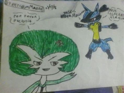 Aqu El Dibujo De La Encuesta Lamento La Tardanza Y Si El Dibujo Me