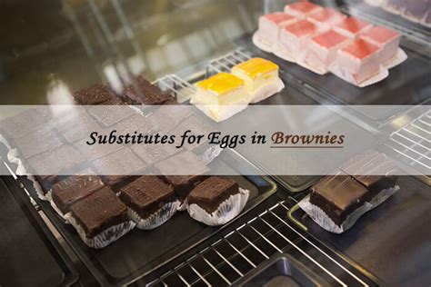 10 Substitutes for Eggs in Brownies & Guide to Use & Recipe