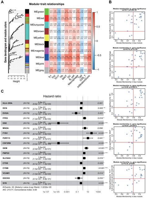 A Novel Panel Based On Immune Infiltration And Tumor Mutational Burden