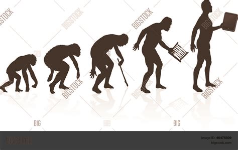 Evolution Man Vector Photo Free Trial Bigstock