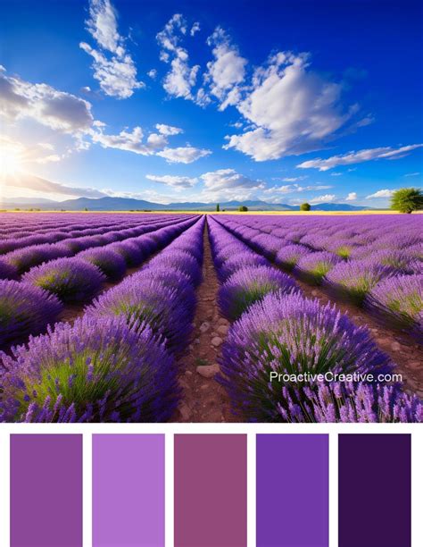 The Power And Prestige Of Purple Color Palettes Proactive