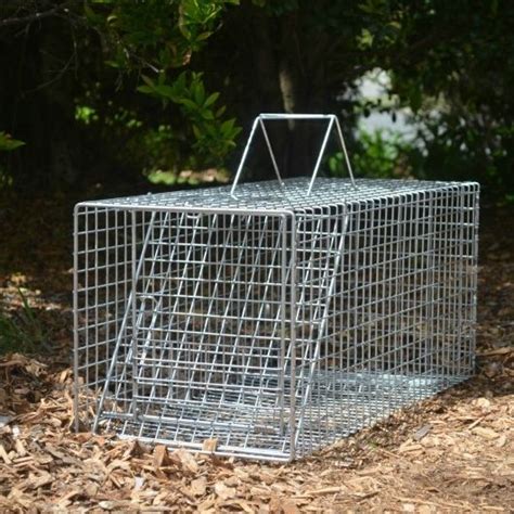 Feral Cat Traps - Professional Trapping Supplies