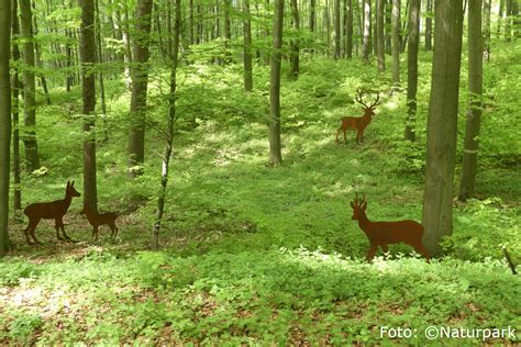 Erlebnisweg Tierisch Was Los Im Wald In Paderborn Neuenbeken Fast