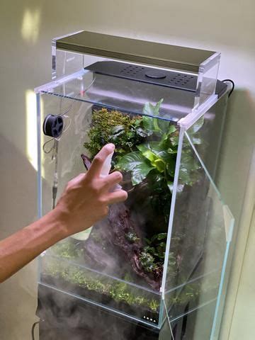 Setting Up The New Ada Dooa Paluda 30 System Paludarium Aquascape Artofit