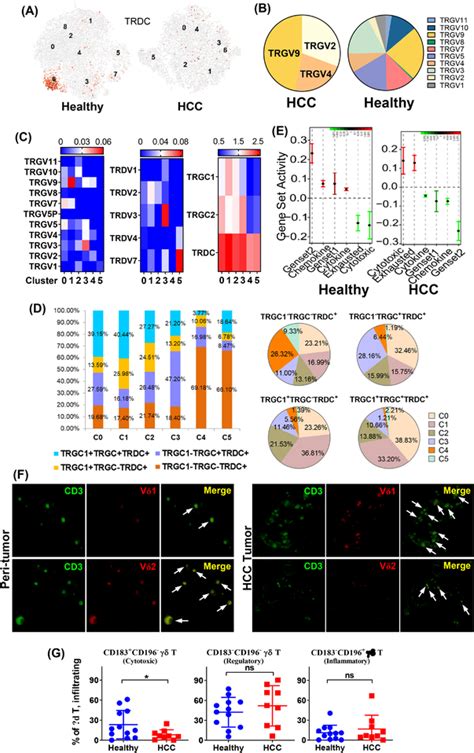 T Cell Receptor Distribution And Clonality Analysis A Trdc⁺ γδ T