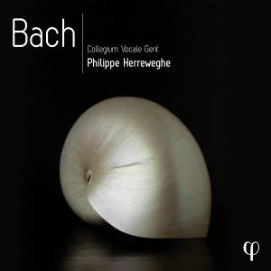 Bach Philippe Herreweghe Collegium Vocale Gent