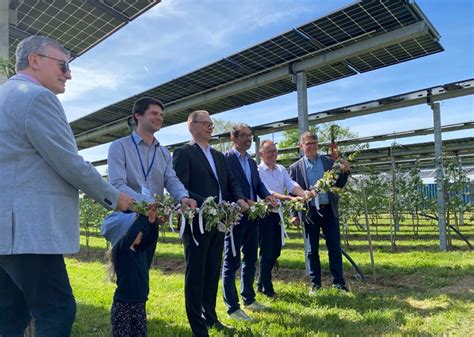 Modellregion Agri Photovoltaik Baden W Rttemberg Zeigt